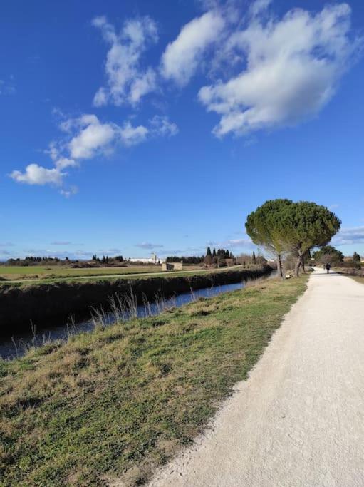 Appartement A 10Km De La Grande Motte, Palavas... Lunel  Exterior foto